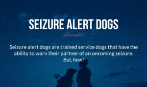 Seizure Alert Dogs